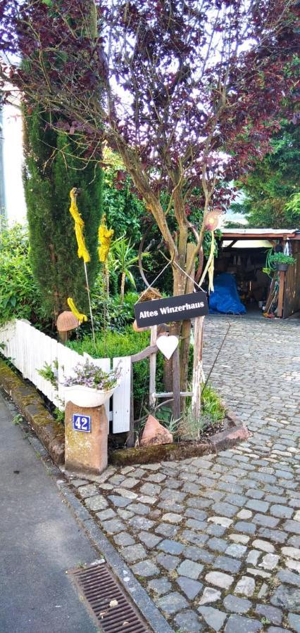 Apartment Altes Winzerhaus Osann-Monzel Zewnętrze zdjęcie